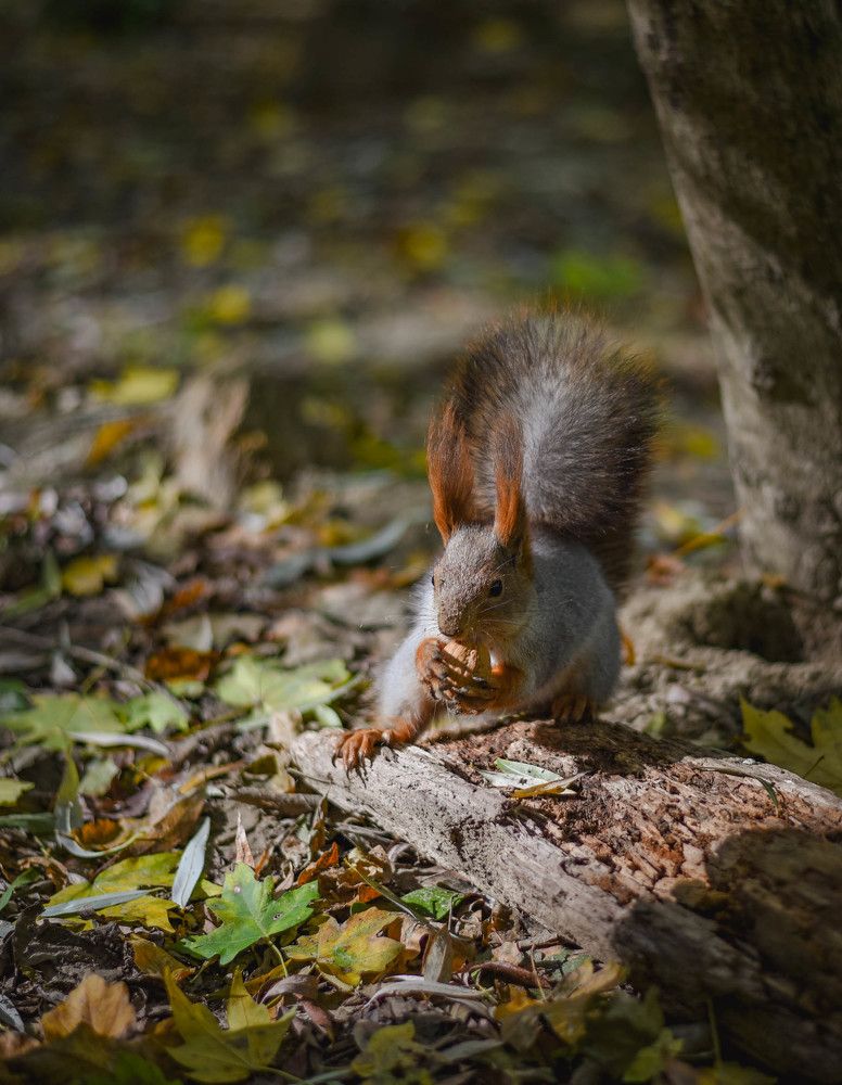 Photograph by Виктория Куликова