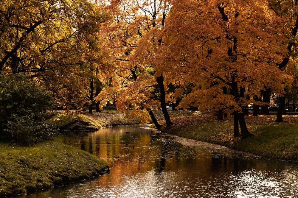 Photograph by Максим Кольцов