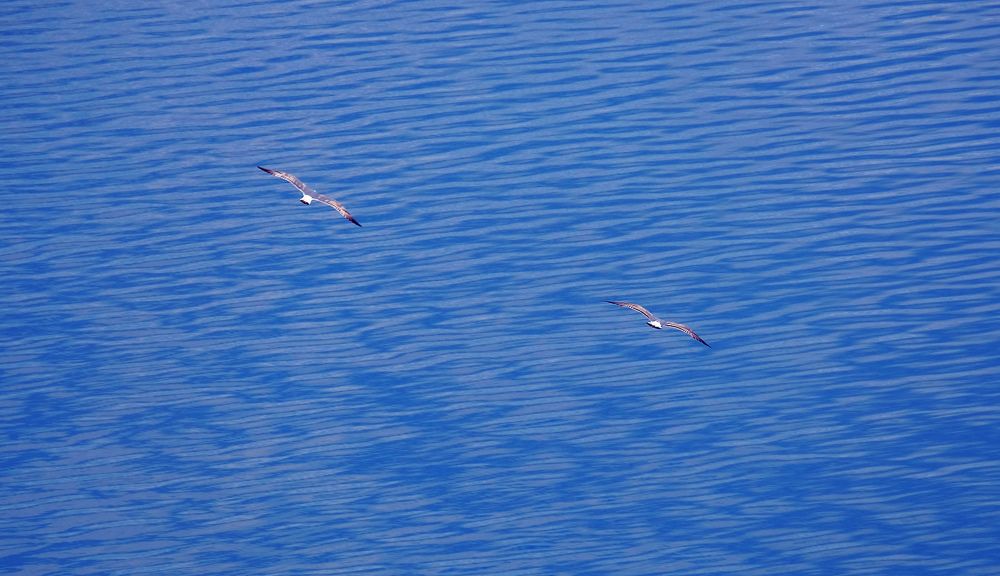 Photograph by Гудков Игорь