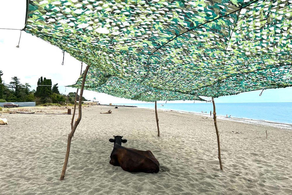 Photograph by Андрей Борисенко