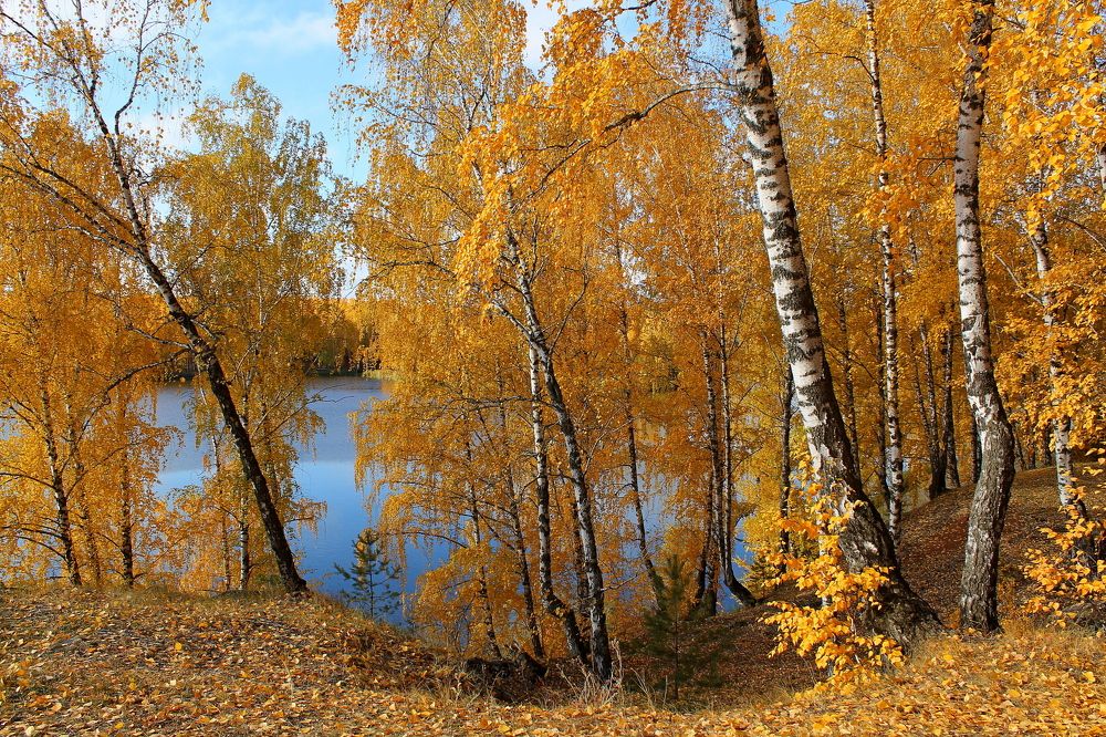 Photograph by Тамара Кремлева