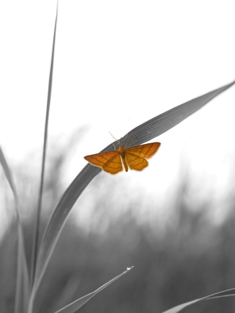 Photograph by Алексей Львов