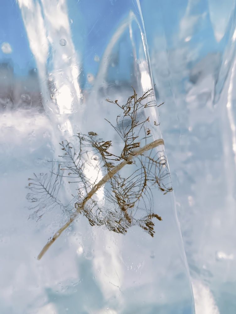 Фотография автора Елена Разина