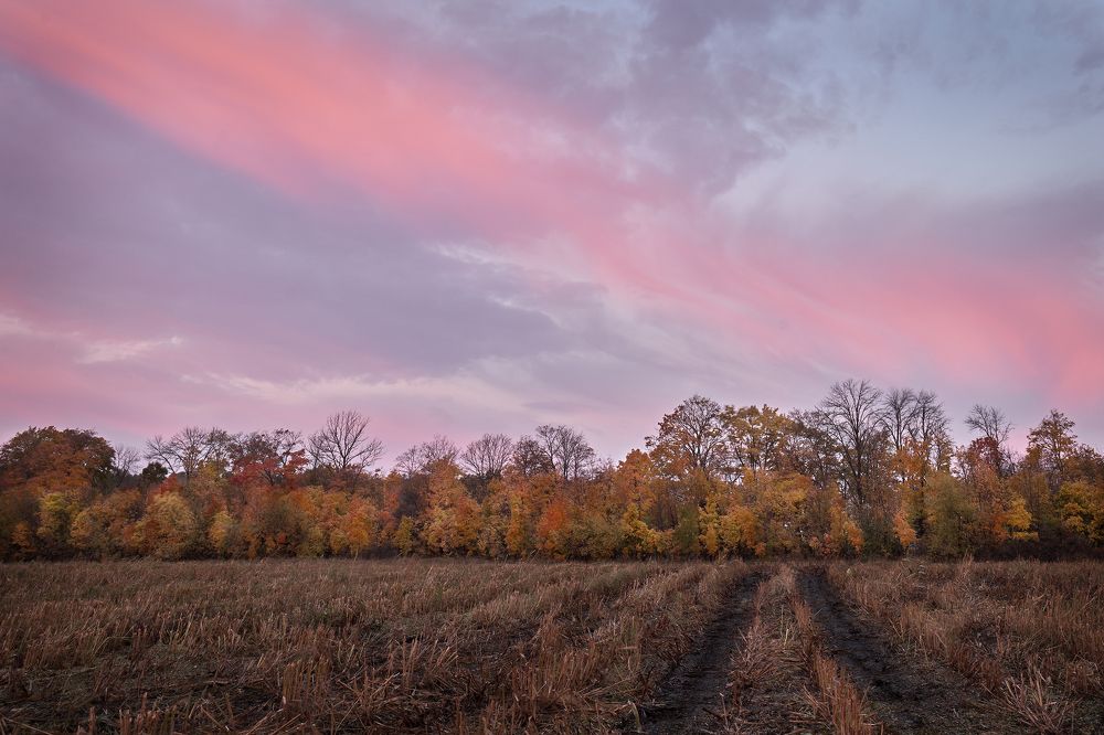 Осенний рассвет
