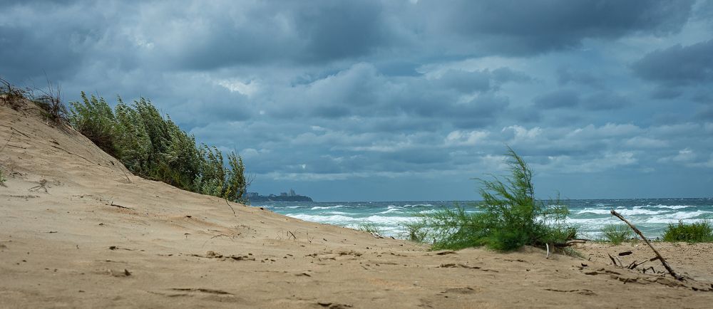 Photograph by Сергей Басов