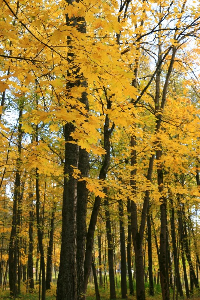 Photograph by Алена Ходатович