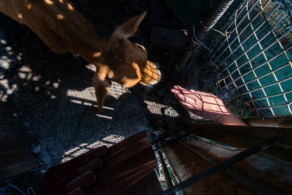 Photograph by Андрей Борисенко