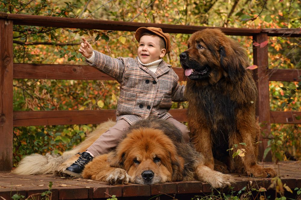 Photograph by Светлана Михеева