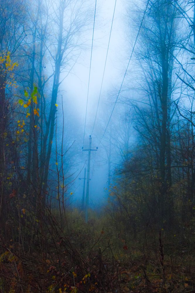 Photograph by Onyx X