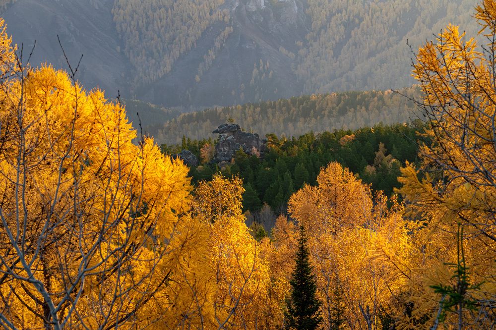 Autumn on the Krasnoyarsk Pillars