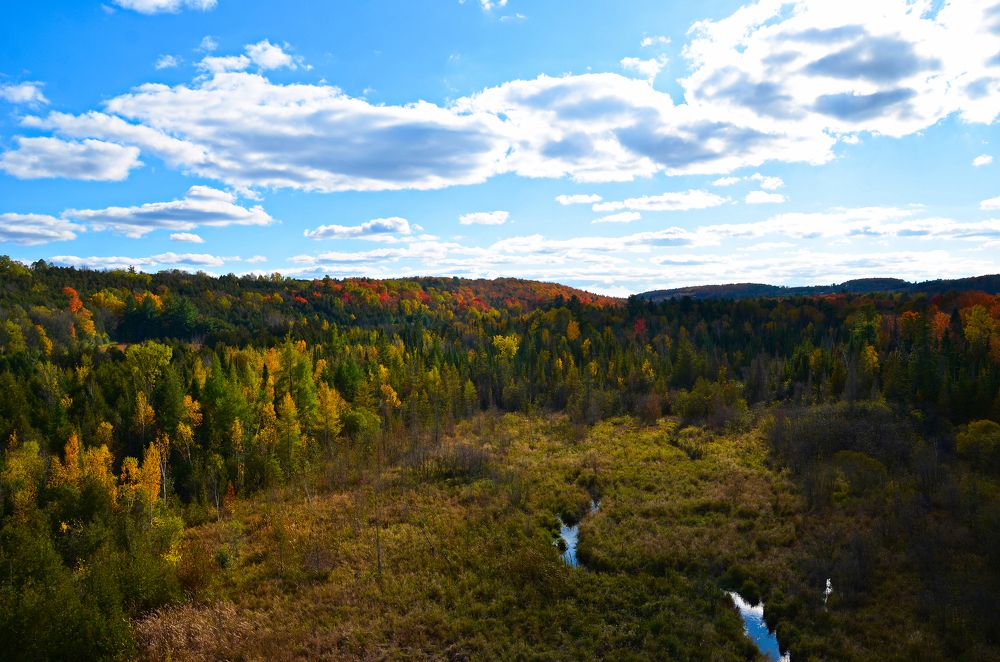 Photograph by Ken Oliver