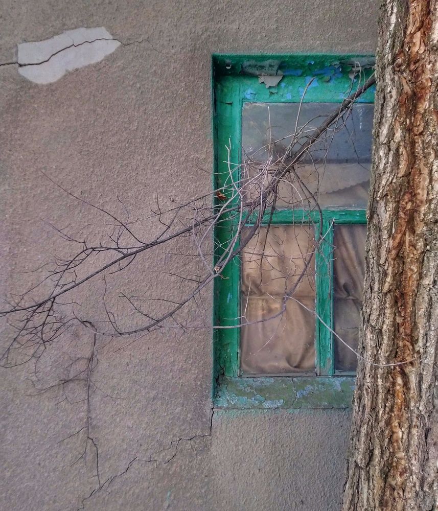 Photograph by Анна Матецкая