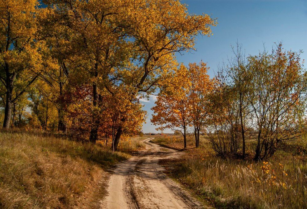 Photograph by Носкова Любовь