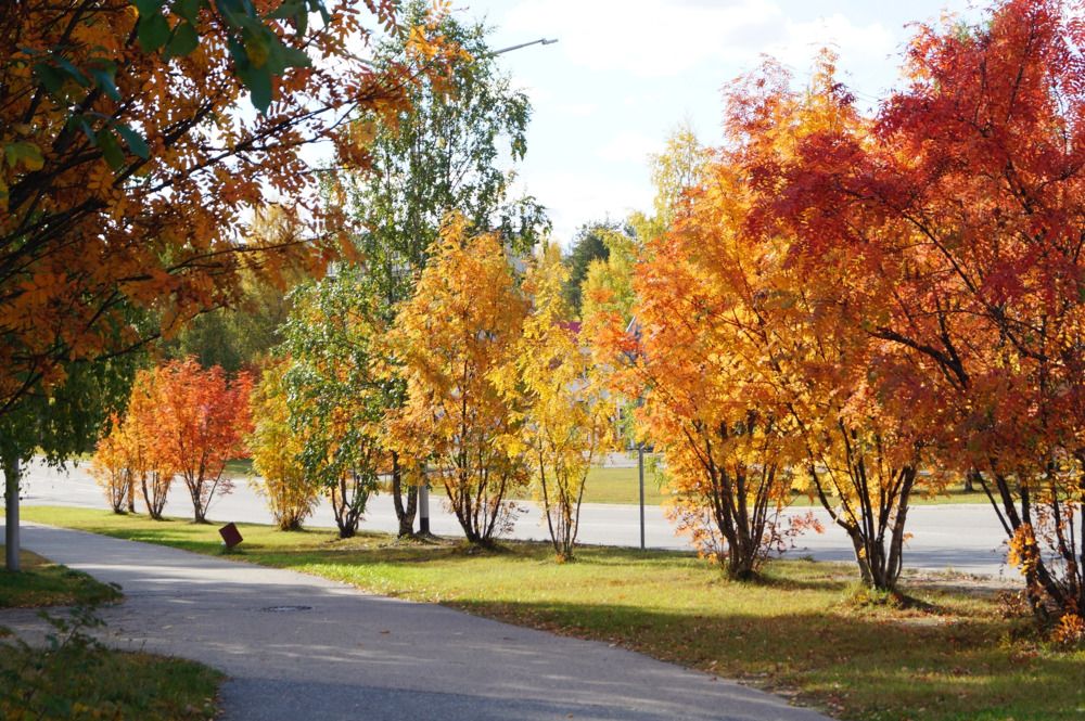 Photograph by Светлана Трушкова