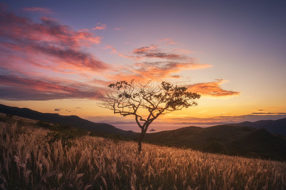 Photograph by Михаил Харитонычев