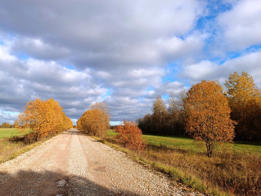 Photograph by Olga Kot