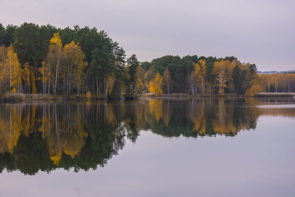 Photograph by Ольга Шуякова