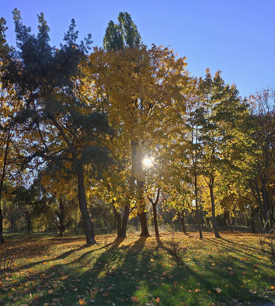 Photograph by Носкова Любовь