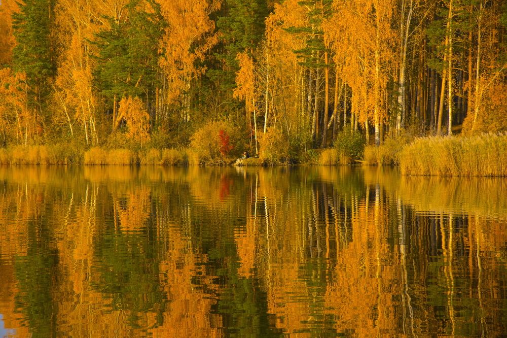 Photograph by Ольга Шуякова