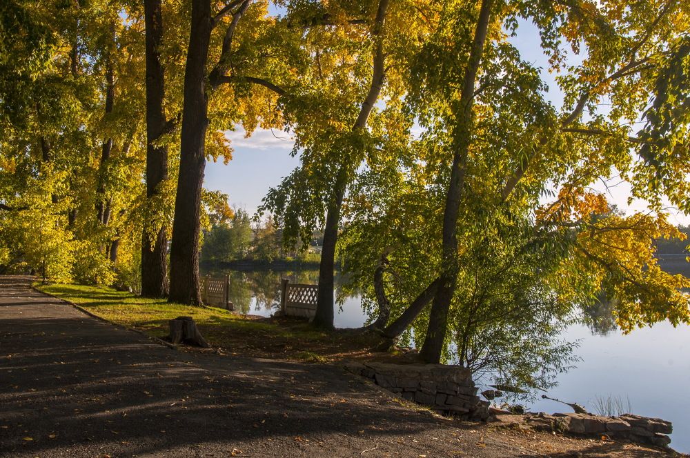 Photograph by Ольга Шуякова