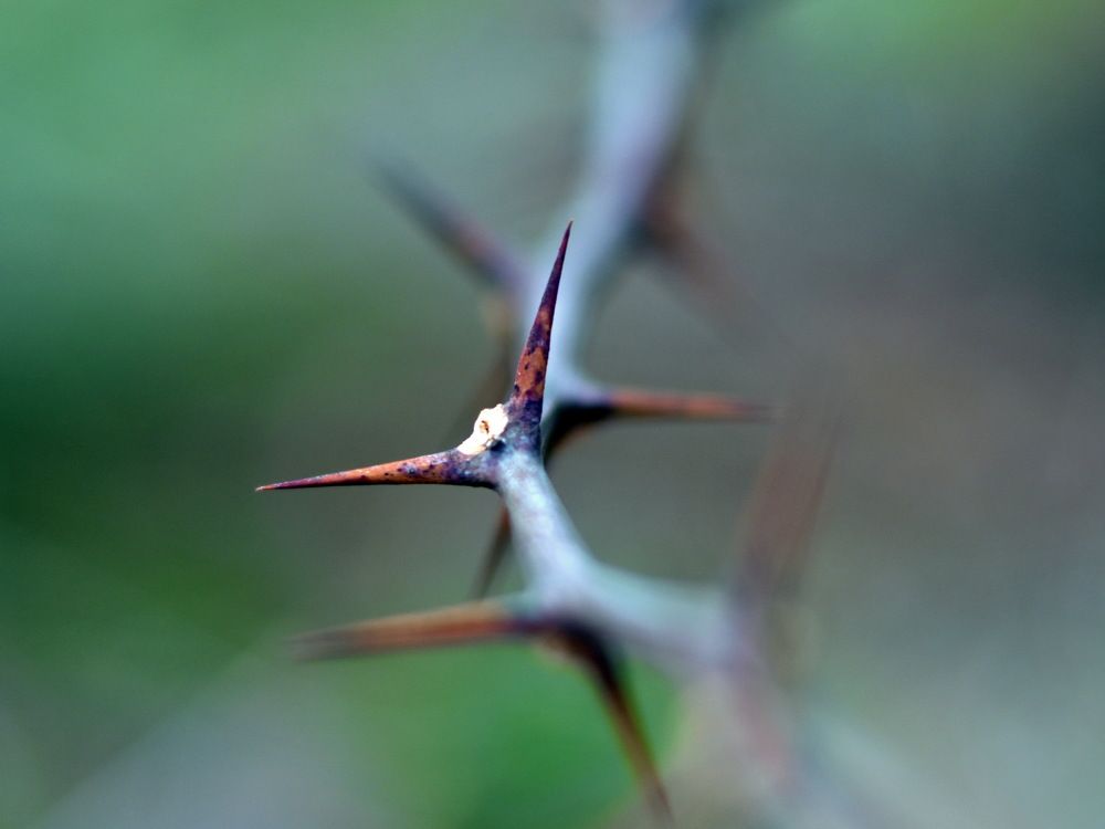 Photograph by Stanko Ratković