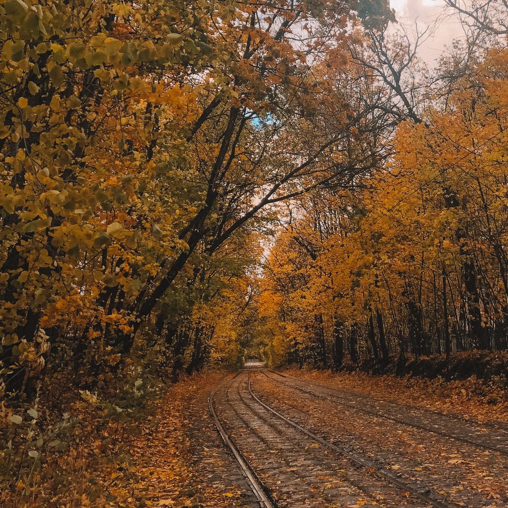 Photograph by Яна Цицилашвили