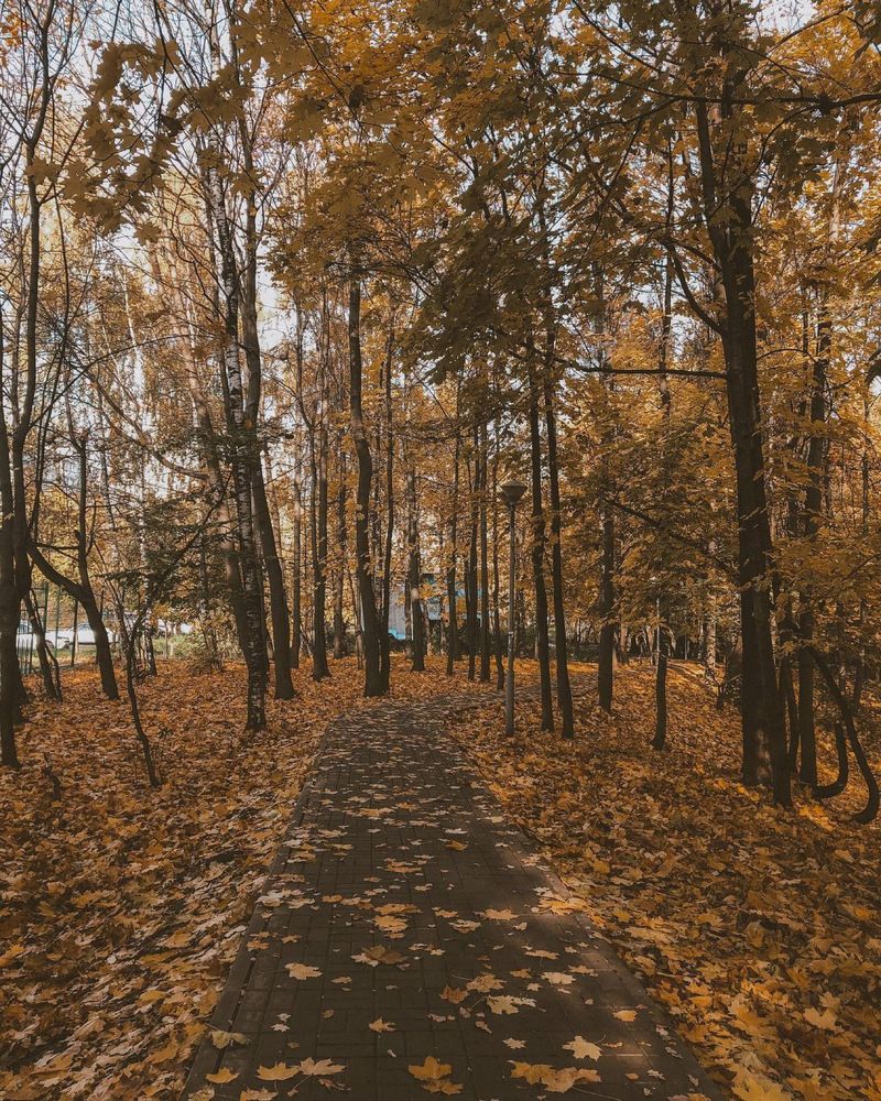 Photograph by Яна Цицилашвили