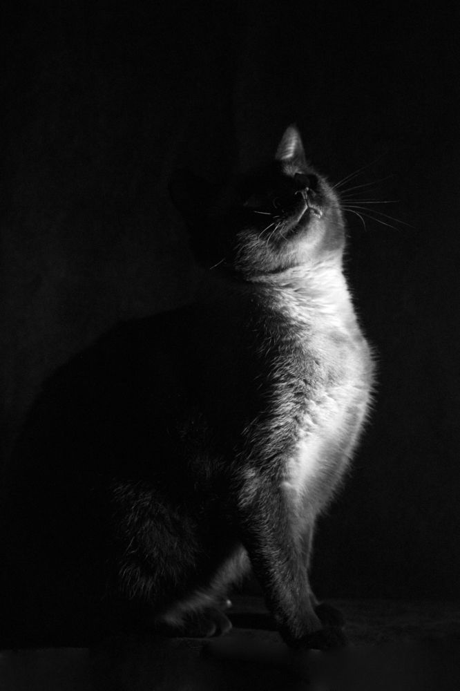 Photograph by Мария Карышева