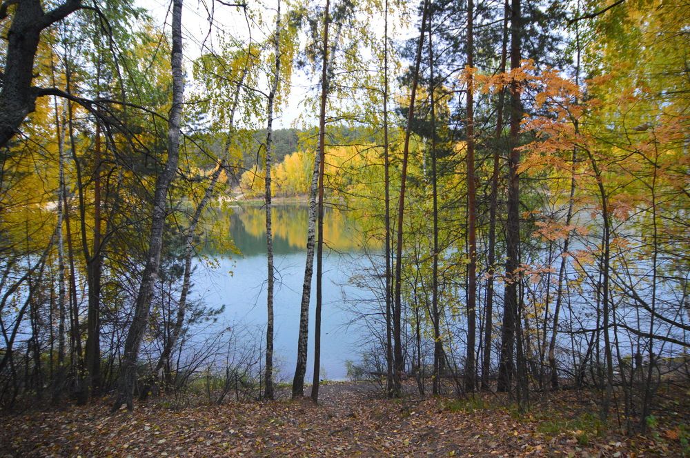 Фотография автора Клавдия Васильева