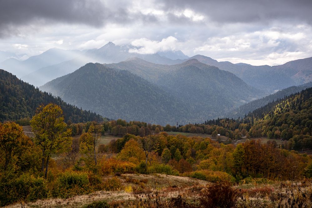 Photograph by Ольга Охорзина
