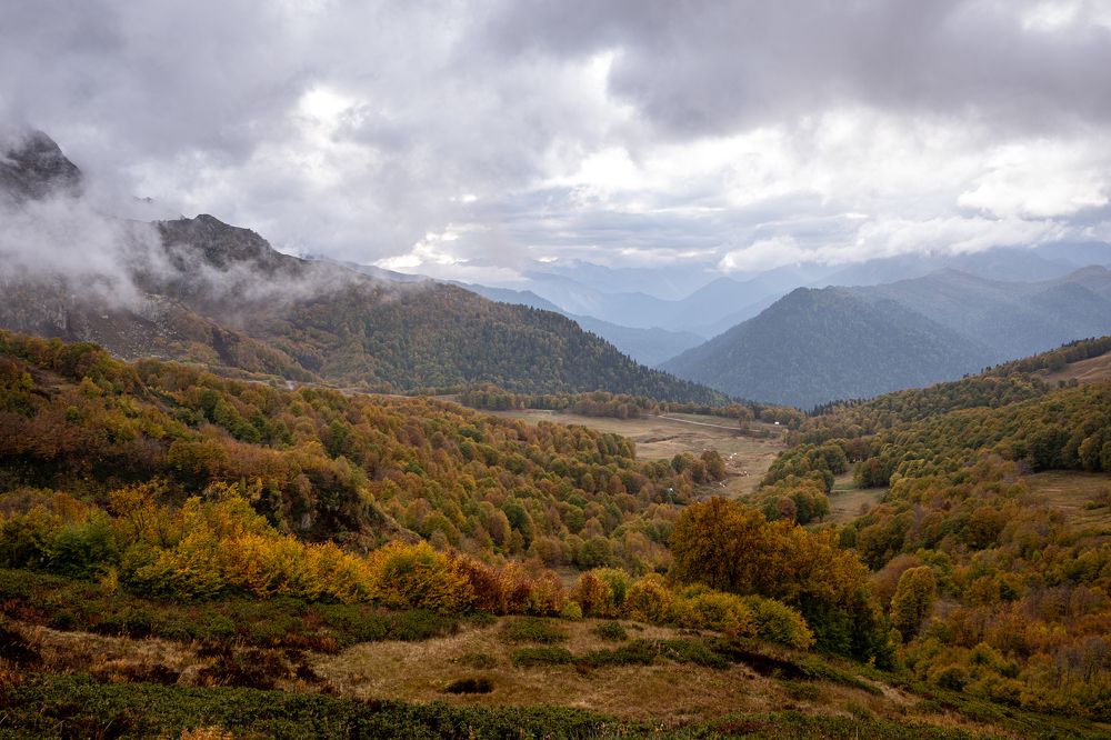 Photograph by Ольга Охорзина