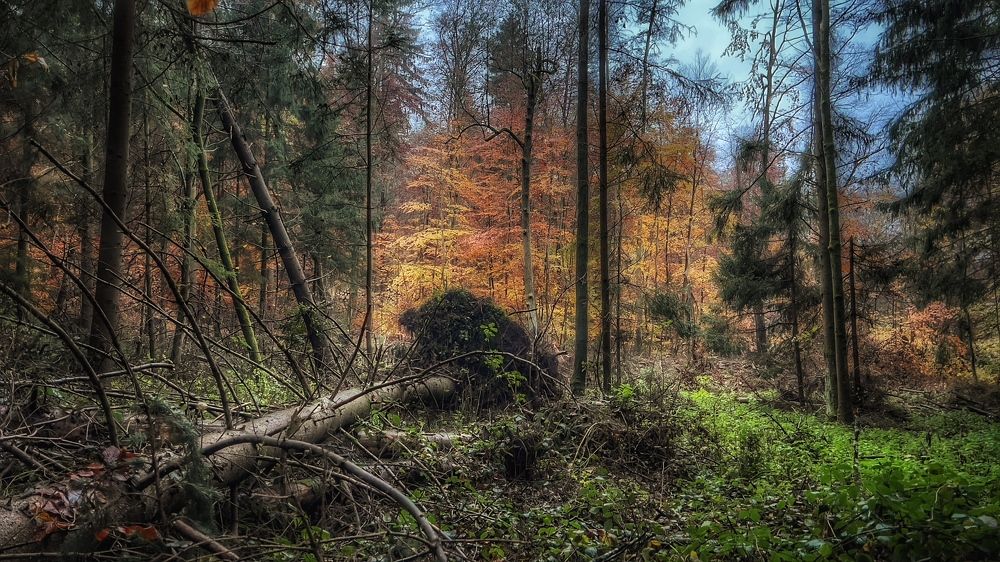 Photograph by Swetlana Lebedev