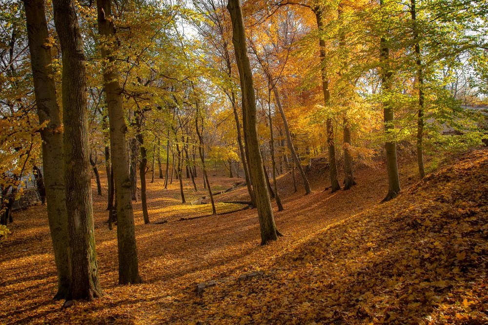 Photograph by Наталья Брюхненко