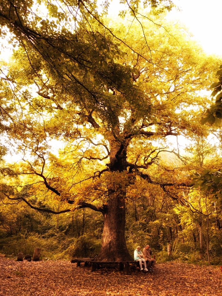 Photograph by Алексей Юдин