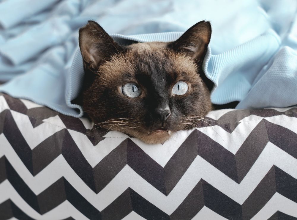 Photograph by Мария Карышева