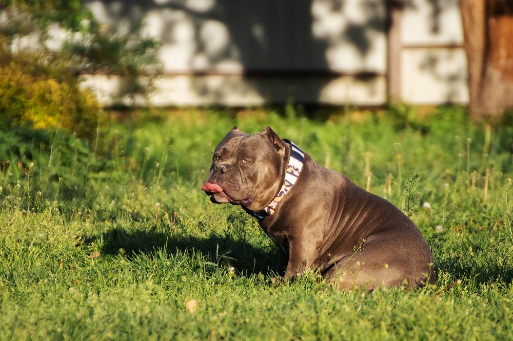 Фиг Вам называется!