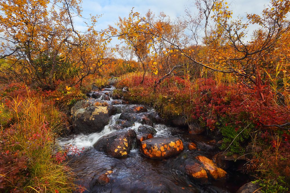 Photograph by Дмитрий Лабушев