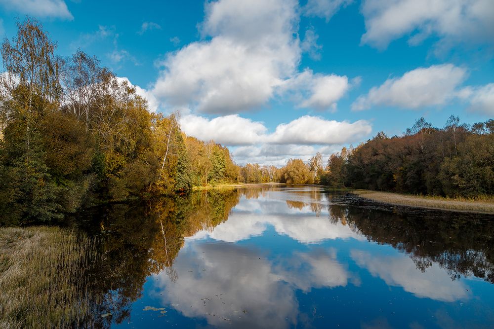 Осенний пейзаж