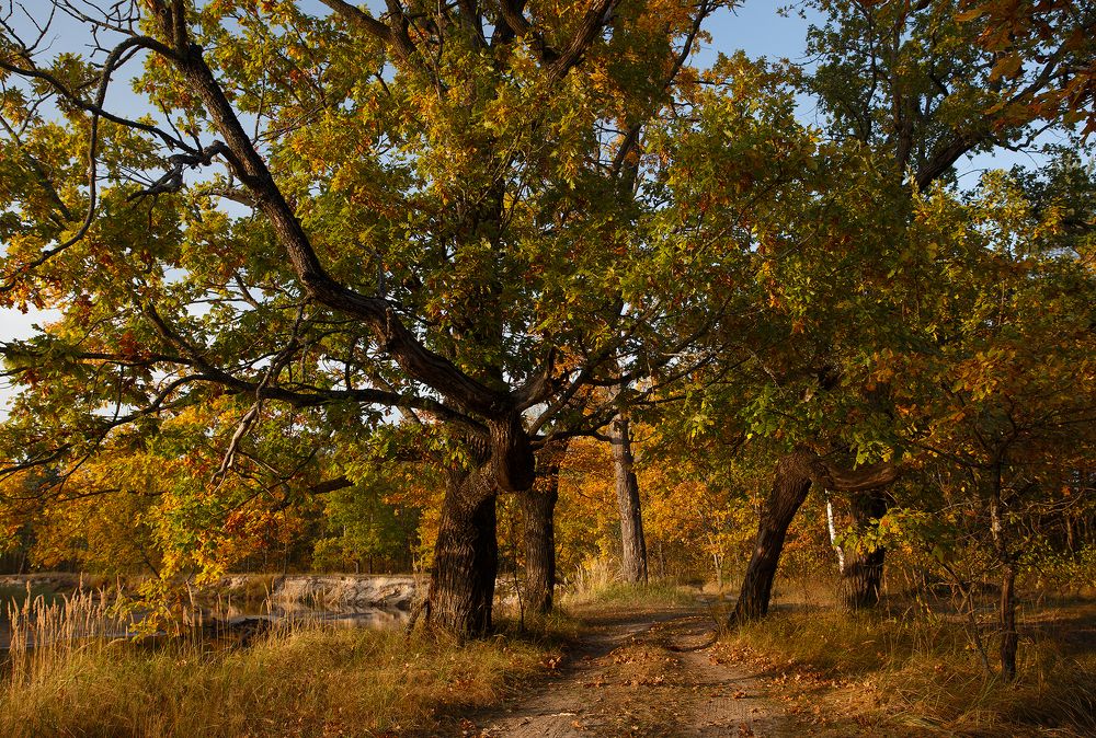 Photograph by Дмитрий Лабушев