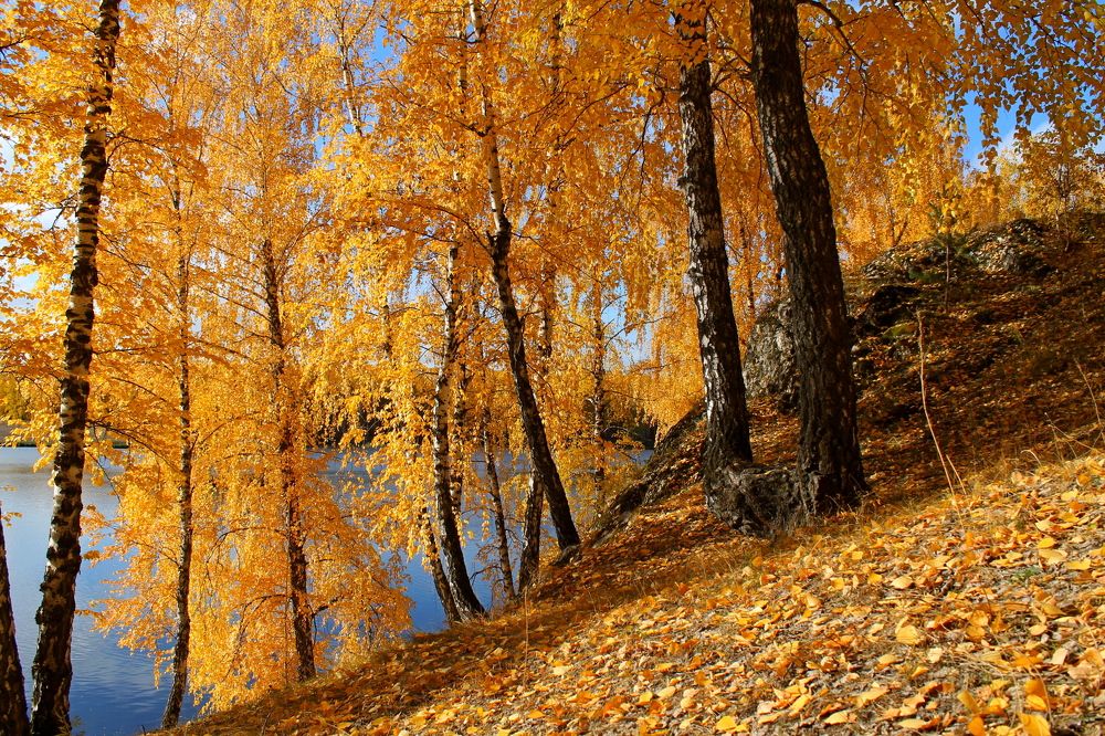 Photograph by Тамара Кремлева