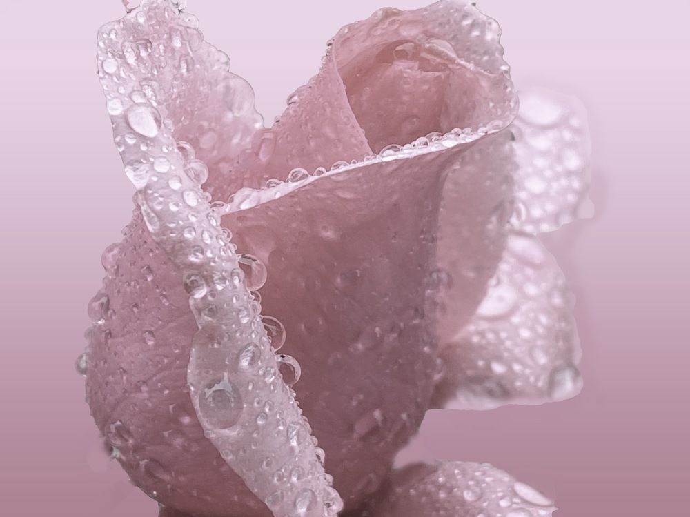 Photograph by Loreta Tepshi