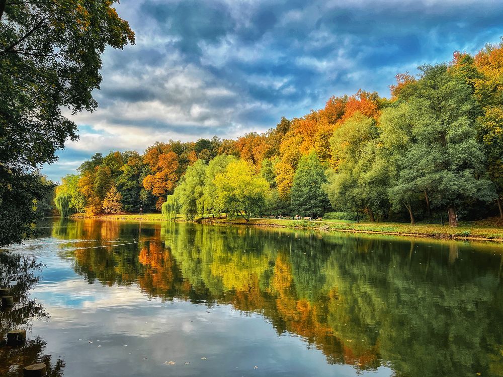 Осенняя палитра