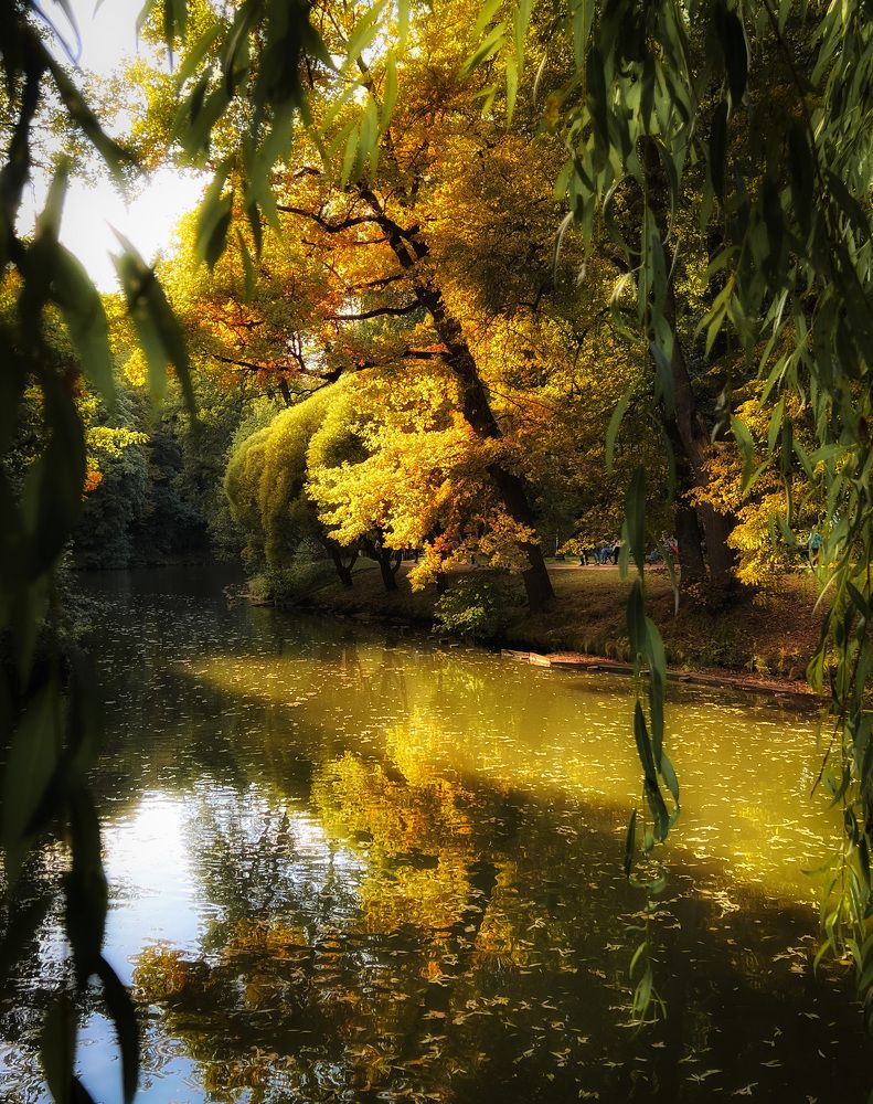 Золото осени