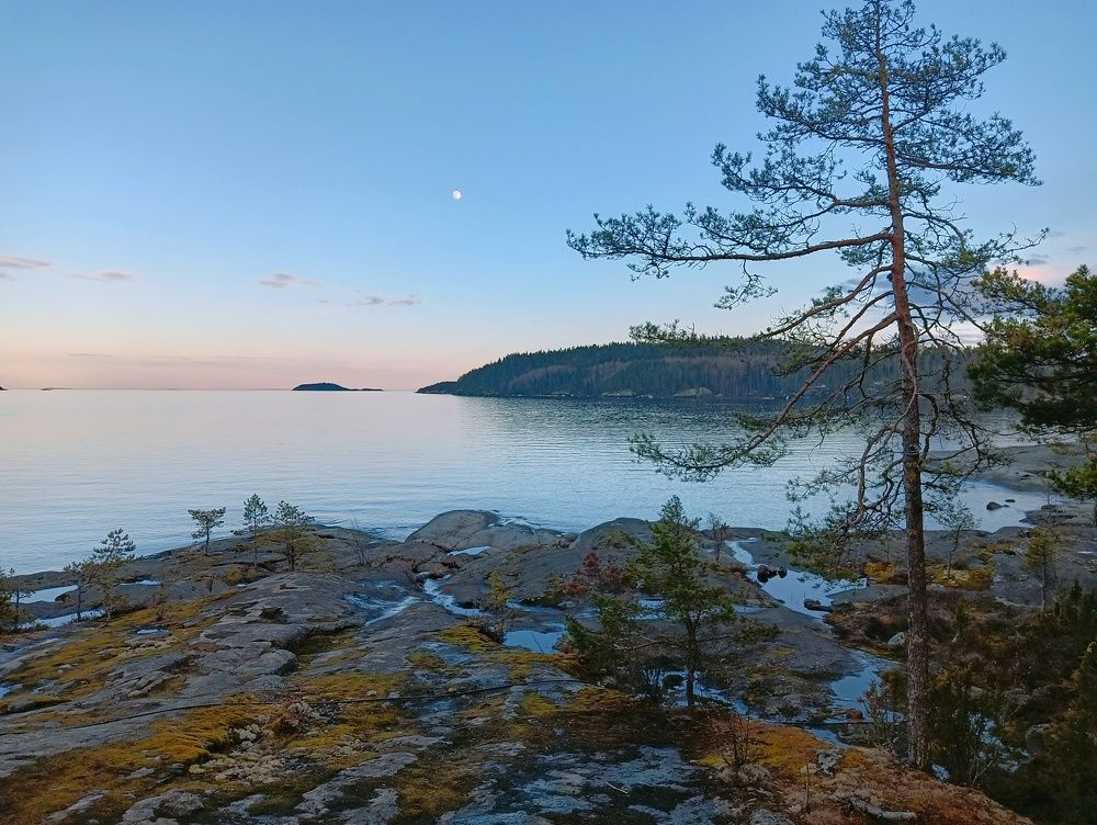 Photograph by Olga Smirnova