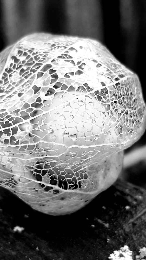 Photograph by Виктория Образцова