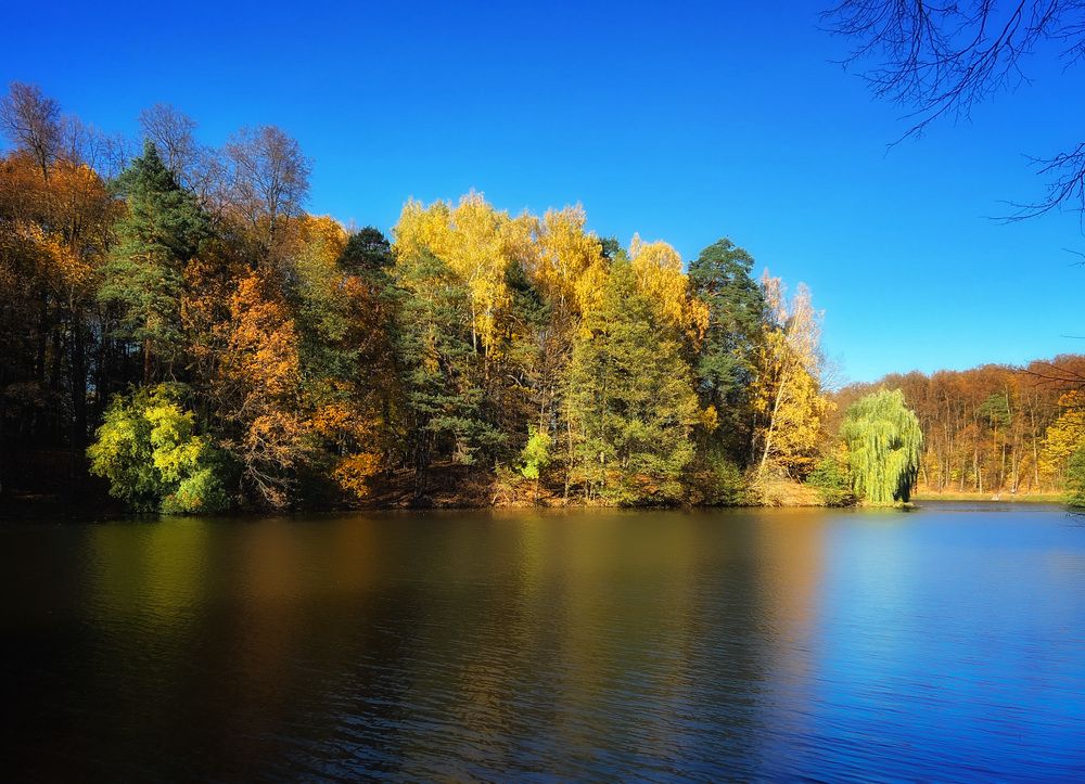 Ласковая осень