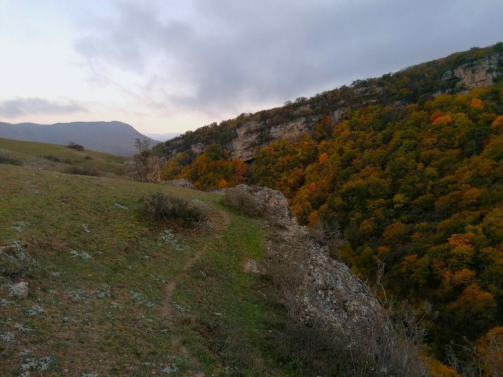 Photograph by Снежана Масалыкина