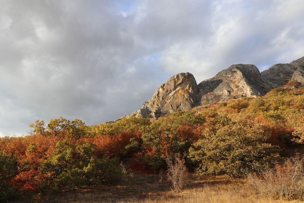 Photograph by Андрей Хитрун