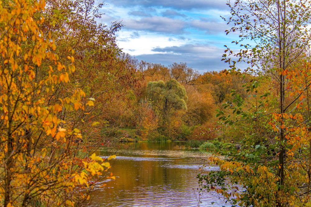 Photograph by Алексей Сиваков