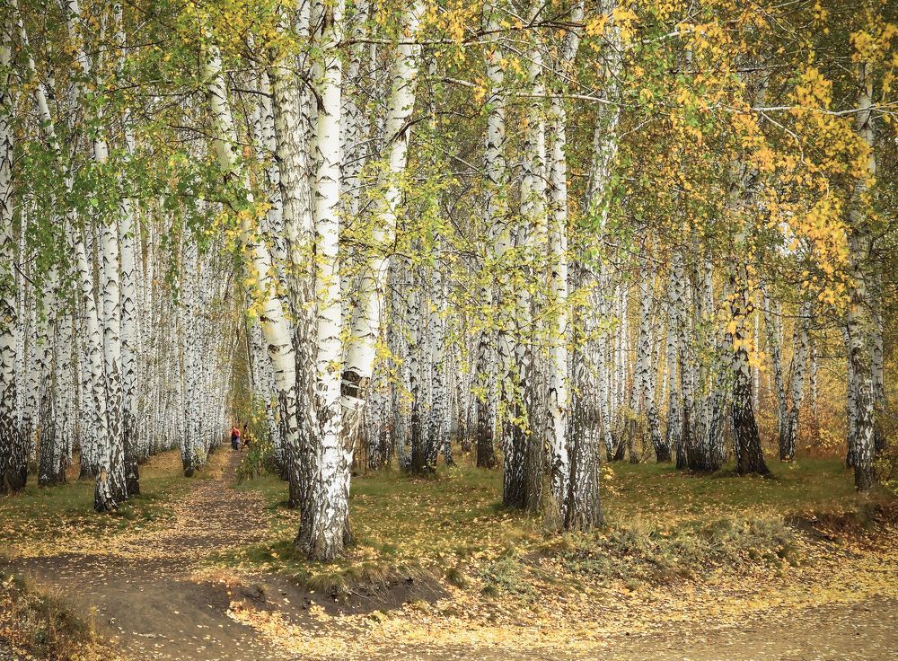 Октябрь в парке